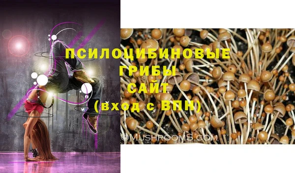 круглые Сатка