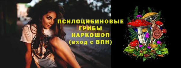 a pvp Саяногорск
