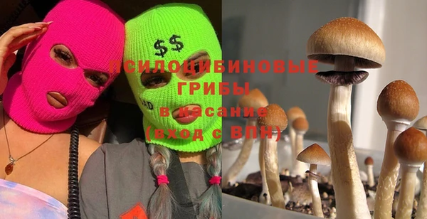 a pvp Саяногорск