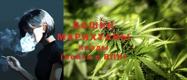 spice Абаза